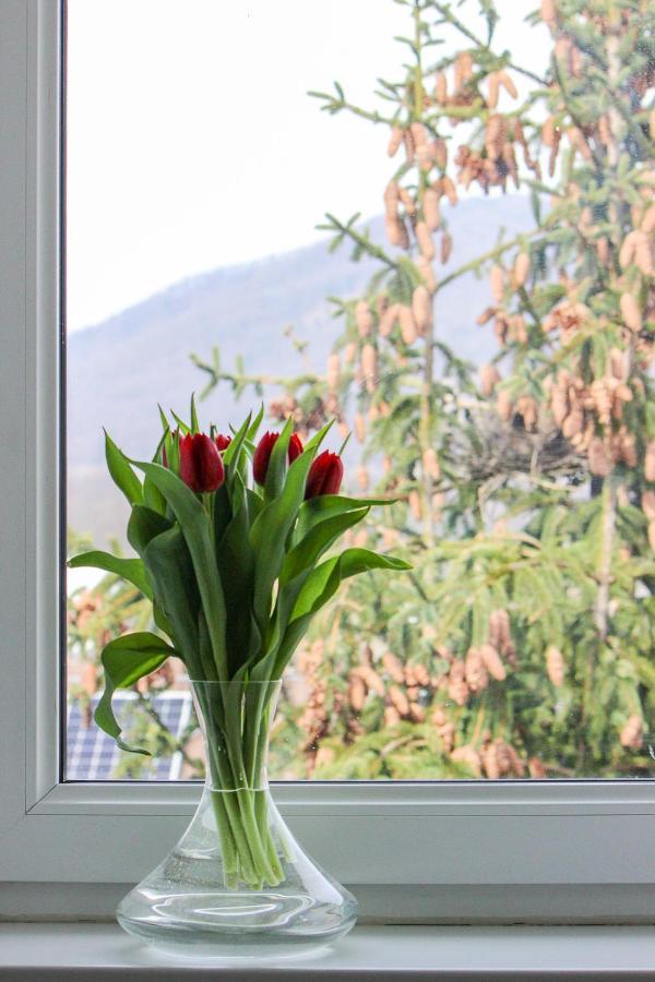 Holiday home Haskova With 3 Bedrooms Banska Bystrica